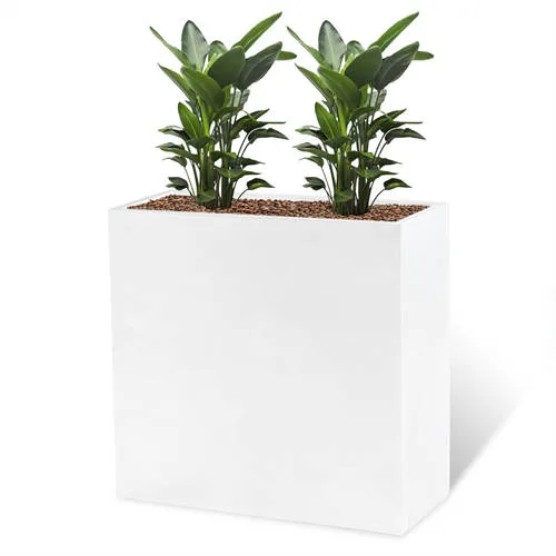 Steel Sheet Paj Box Planter Box Garden Decoration